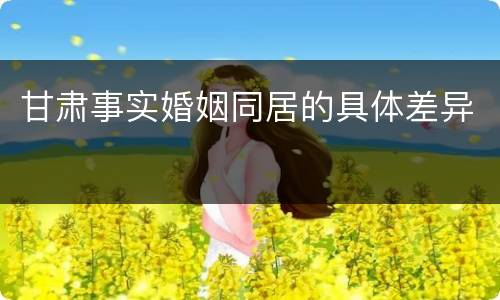 甘肃事实婚姻同居的具体差异