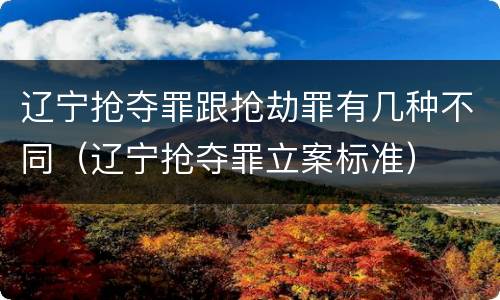 辽宁抢夺罪跟抢劫罪有几种不同（辽宁抢夺罪立案标准）