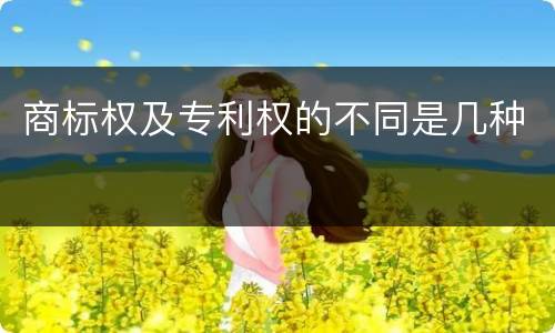 商标权及专利权的不同是几种