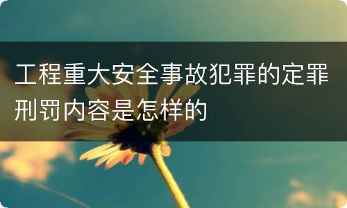 工程重大安全事故犯罪的定罪刑罚内容是怎样的