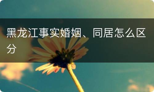 黑龙江事实婚姻、同居怎么区分