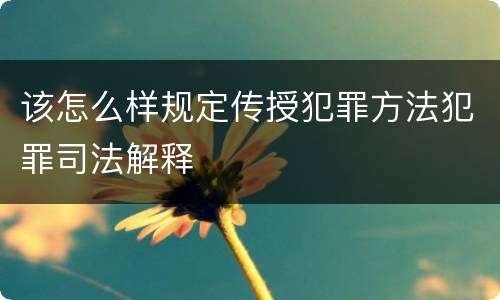 该怎么样规定传授犯罪方法犯罪司法解释