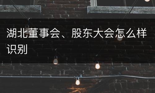 湖北董事会、股东大会怎么样识别
