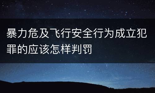 暴力危及飞行安全行为成立犯罪的应该怎样判罚