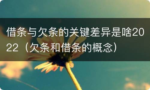 借条与欠条的关键差异是啥2022（欠条和借条的概念）