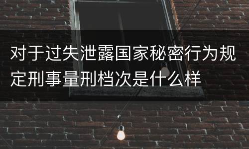 对于过失泄露国家秘密行为规定刑事量刑档次是什么样