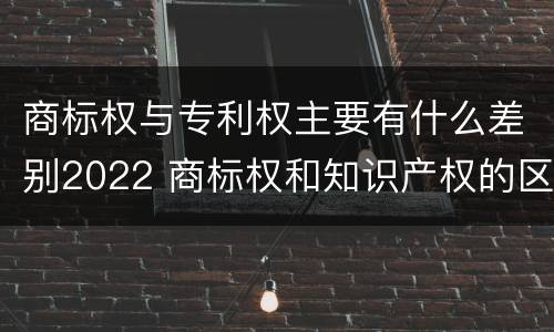 商标权与专利权主要有什么差别2022 商标权和知识产权的区别