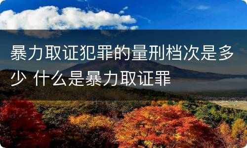 暴力取证犯罪的量刑档次是多少 什么是暴力取证罪