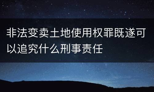 非法变卖土地使用权罪既遂可以追究什么刑事责任