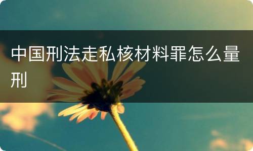 中国刑法走私核材料罪怎么量刑
