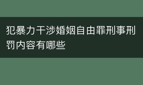 犯暴力干涉婚姻自由罪刑事刑罚内容有哪些