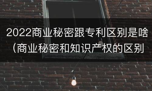 2022商业秘密跟专利区别是啥（商业秘密和知识产权的区别）