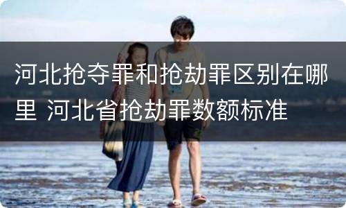 河北抢夺罪和抢劫罪区别在哪里 河北省抢劫罪数额标准