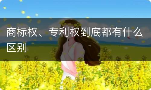 商标权、专利权到底都有什么区别