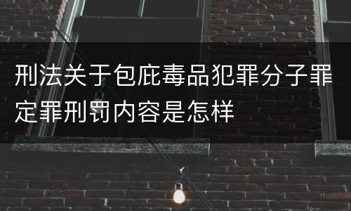 刑法关于包庇毒品犯罪分子罪定罪刑罚内容是怎样