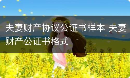 夫妻财产协议公证书样本 夫妻财产公证书格式