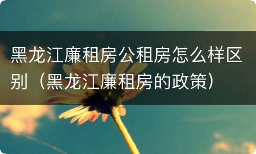 黑龙江廉租房公租房怎么样区别（黑龙江廉租房的政策）