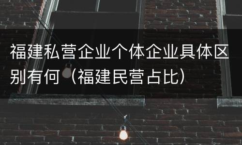 福建私营企业个体企业具体区别有何（福建民营占比）