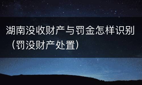 湖南没收财产与罚金怎样识别（罚没财产处置）