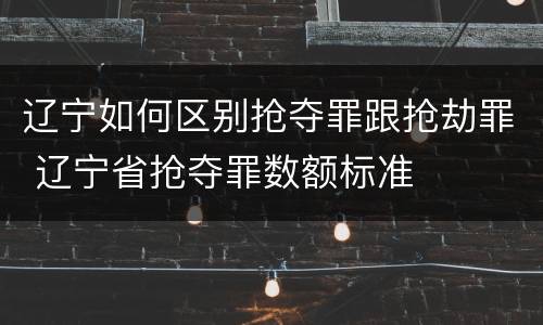辽宁如何区别抢夺罪跟抢劫罪 辽宁省抢夺罪数额标准