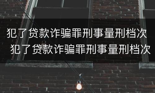 犯了贷款诈骗罪刑事量刑档次 犯了贷款诈骗罪刑事量刑档次怎么判