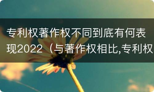 专利权著作权不同到底有何表现2022（与著作权相比,专利权有哪些特征）
