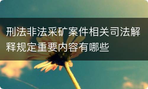 刑法非法采矿案件相关司法解释规定重要内容有哪些