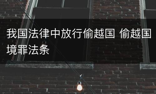 我国法律中放行偷越国 偷越国境罪法条