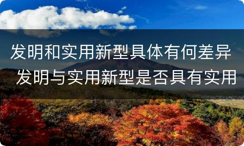 发明和实用新型具体有何差异 发明与实用新型是否具有实用性