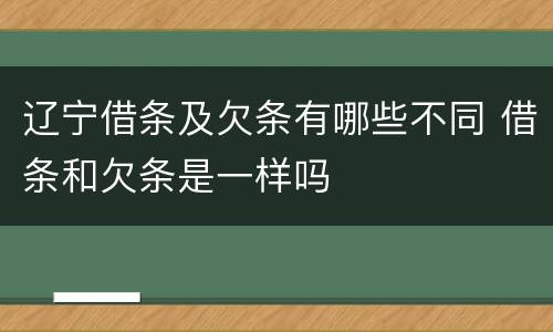辽宁借条及欠条有哪些不同 借条和欠条是一样吗