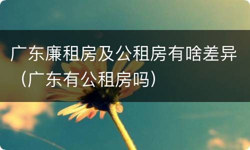 广东廉租房及公租房有啥差异（广东有公租房吗）