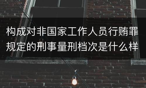 构成对非国家工作人员行贿罪规定的刑事量刑档次是什么样的