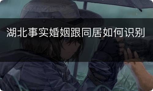 湖北事实婚姻跟同居如何识别