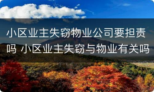 小区业主失窃物业公司要担责吗 小区业主失窃与物业有关吗