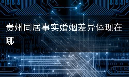 贵州同居事实婚姻差异体现在哪