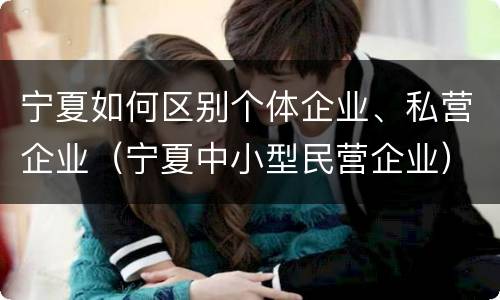 宁夏如何区别个体企业、私营企业（宁夏中小型民营企业）
