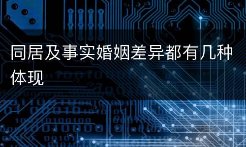 同居及事实婚姻差异都有几种体现