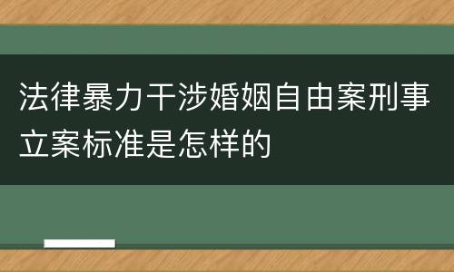 法律暴力干涉婚姻自由案刑事立案标准是怎样的