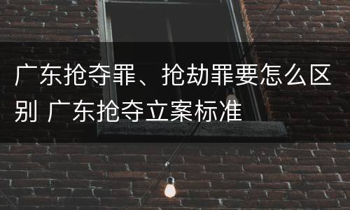 广东抢夺罪、抢劫罪要怎么区别 广东抢夺立案标准