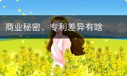 商业秘密、专利差异有啥