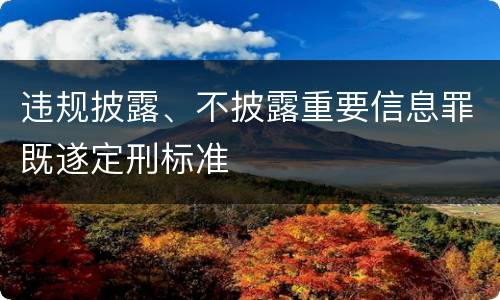 违规披露、不披露重要信息罪既遂定刑标准