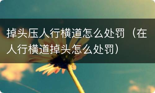 掉头压人行横道怎么处罚（在人行横道掉头怎么处罚）