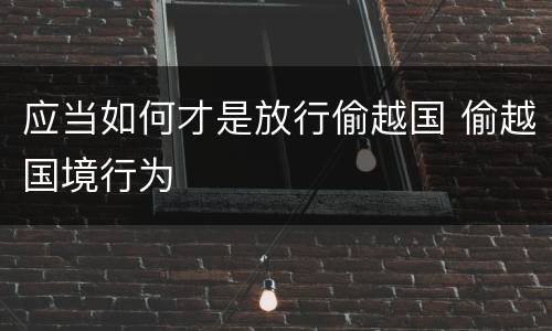 应当如何才是放行偷越国 偷越国境行为