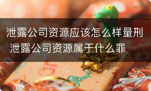 泄露公司资源应该怎么样量刑 泄露公司资源属于什么罪