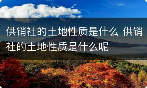 供销社的土地性质是什么 供销社的土地性质是什么呢