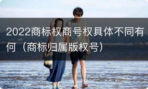 2022商标权商号权具体不同有何（商标归属版权号）