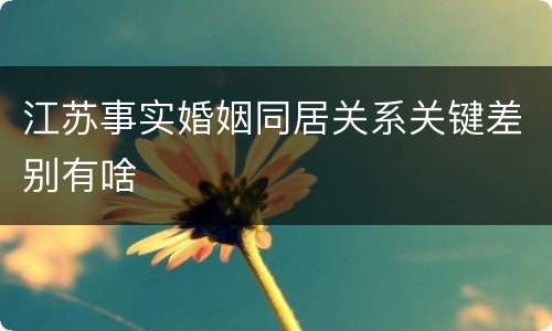 江苏事实婚姻同居关系关键差别有啥