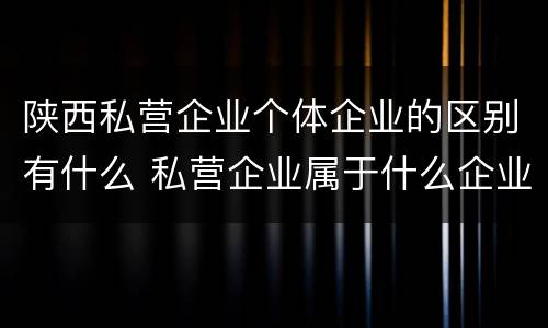 陕西私营企业个体企业的区别有什么 私营企业属于什么企业