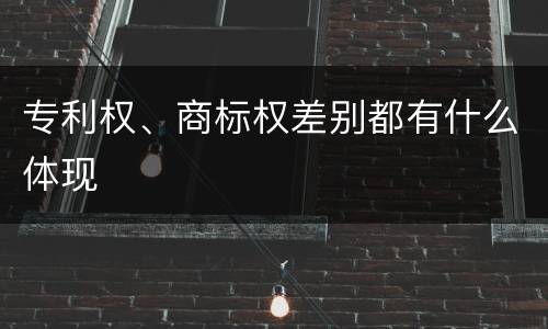 专利权、商标权差别都有什么体现