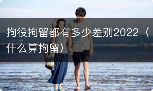 拘役拘留都有多少差别2022（什么算拘留）